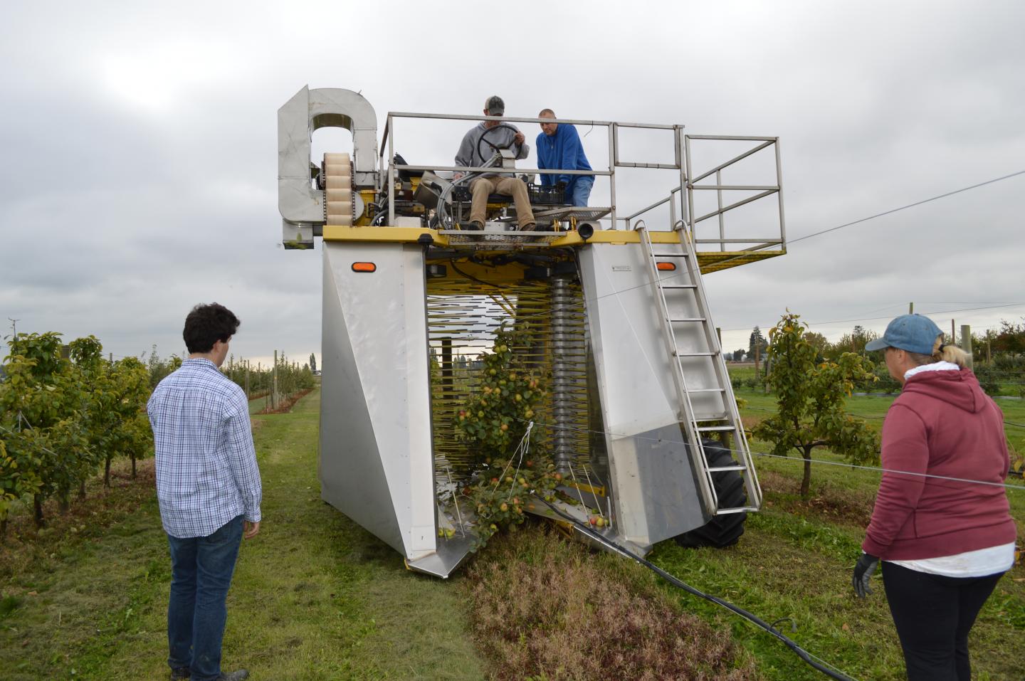 Over-the-Row Harvester