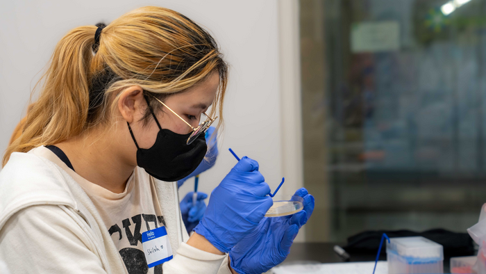 A student conducting part of the gene editing Learning Lab experiment