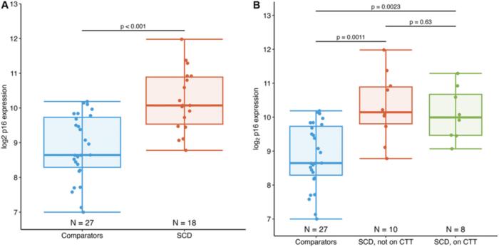 Adolescents and young adults with sickle cell disease exhibit accelerated aging with elevated T-cell p16INK4a expression