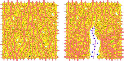 Underground Methane Gas Invades Sediment (1 of 2)