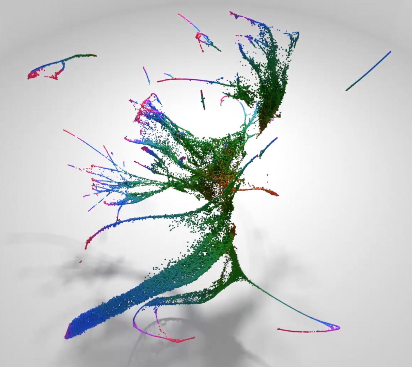 A Molecular Atlas of <em>C. Elegans</em>