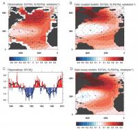 Observation Models - Atlantic Multi-Decadal Oscillation Study