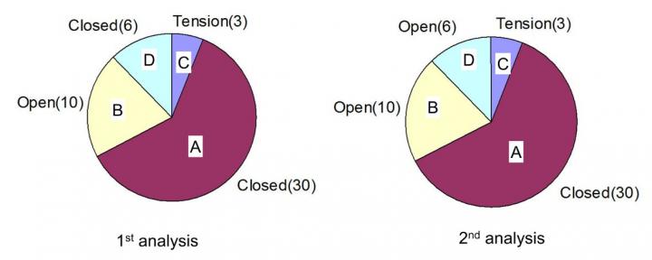 Pneumothorax Diagnostic Results