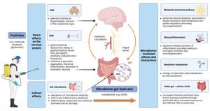 Convergent pathways -microbiome and pesticides in PD