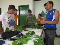 Training Forestry Workers To Reduce Harvesting Errors
