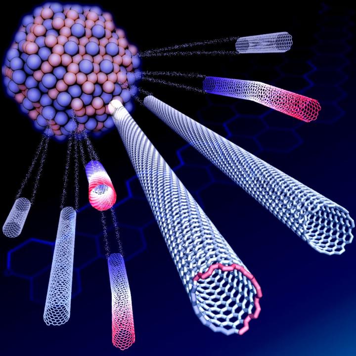 Carbon Nanotubes