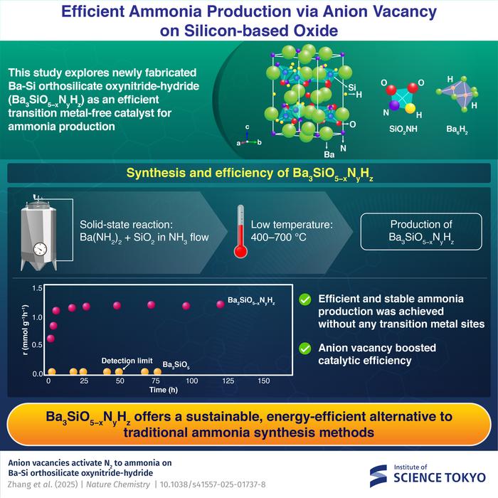 Efficient Ammonia Production via Anion Vacancy on Silicon-based Oxide