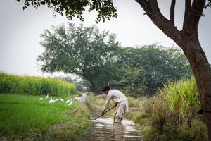 Farmer works in an irrigation canal in Pakistan