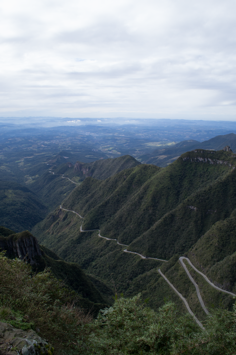 Atlantic Forest