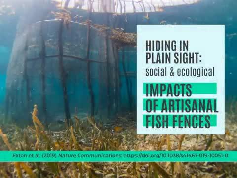 Video that Illustrates the Impact of Fish Fences