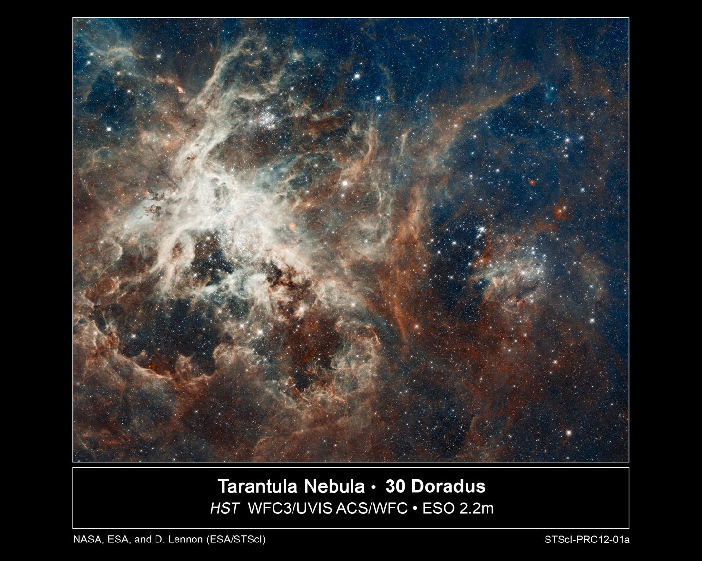 Tarantula Nebula