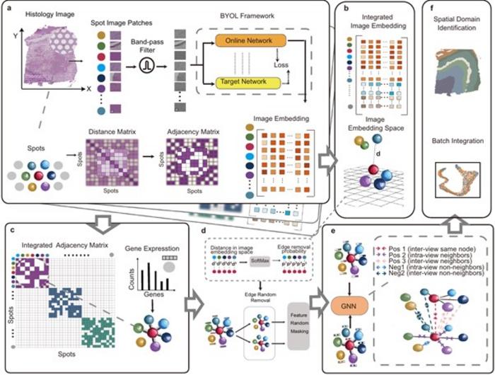 Overview of the STAIG framework