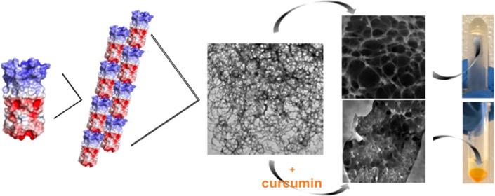 Steps to a Hydrogel that Can Deliver Drugs