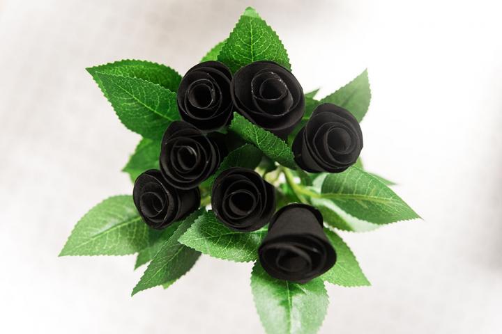 More Engineered than Enchanted, these Roses Are Blessed with More than Just their Beauty