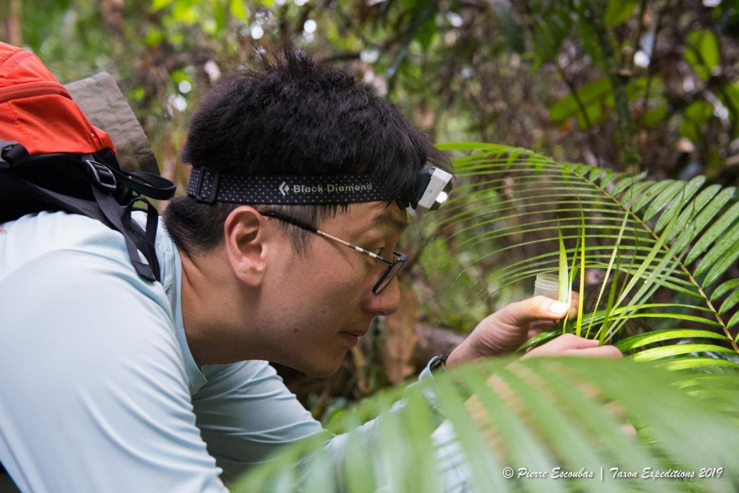 Taxon Expeditions Participant J.P. Lim Collecting Snails