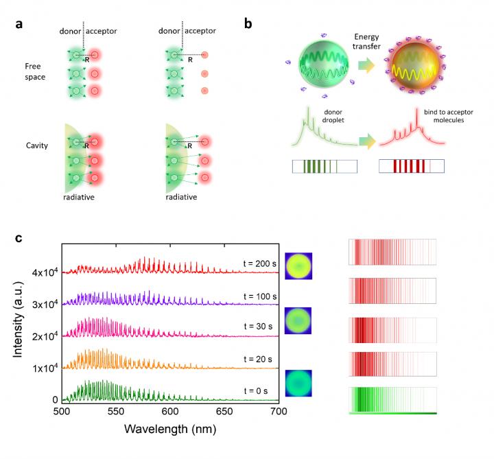 Concept Of Cavity-Enhanced Energy Transfer. Zhou et al., doi 10.1117/1.AP.2.6.066002