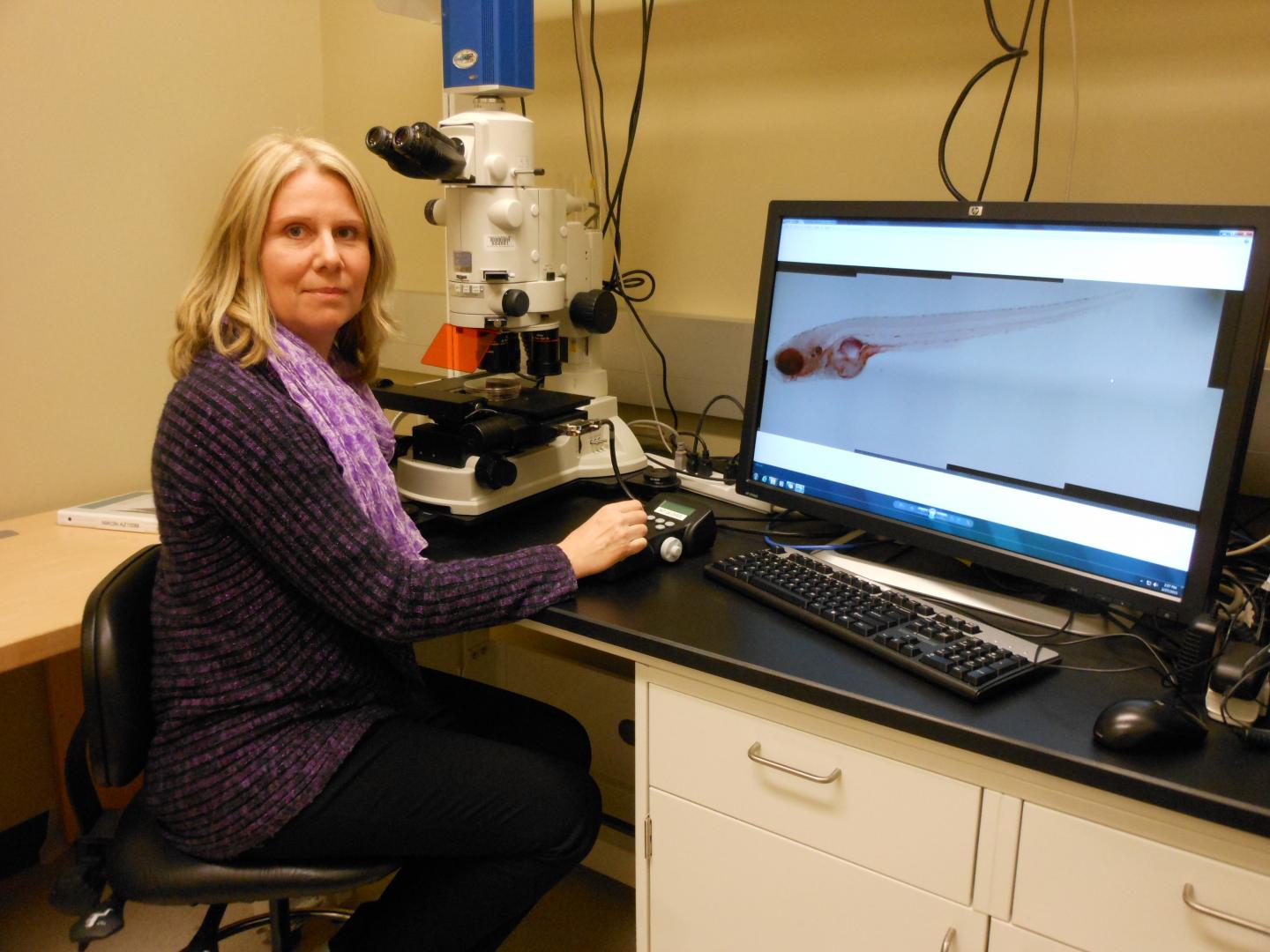 Maria Bondesson, University of Houston