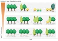 Comparing rates of vegetation change
