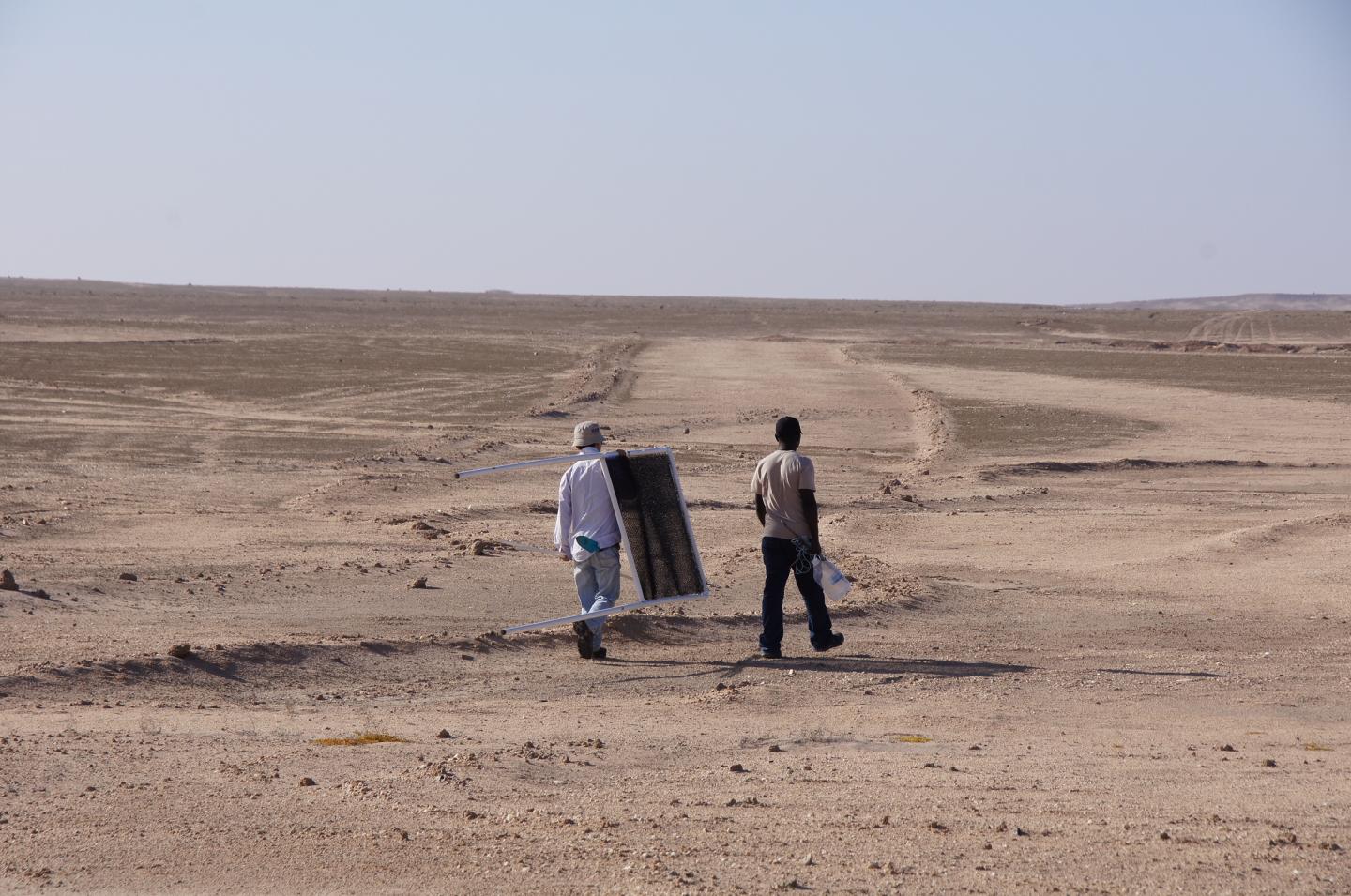 IUPUI Researchers Investigate Non-Rainfall Water Sources in the Namib Desert