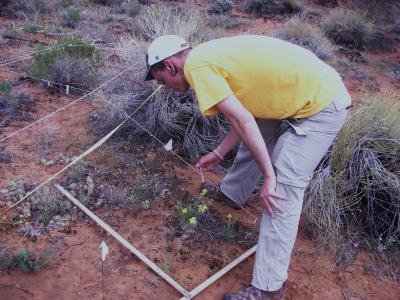 Sampling Vegetation