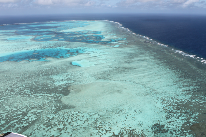 Drone images of sand aprons around One Tree Island