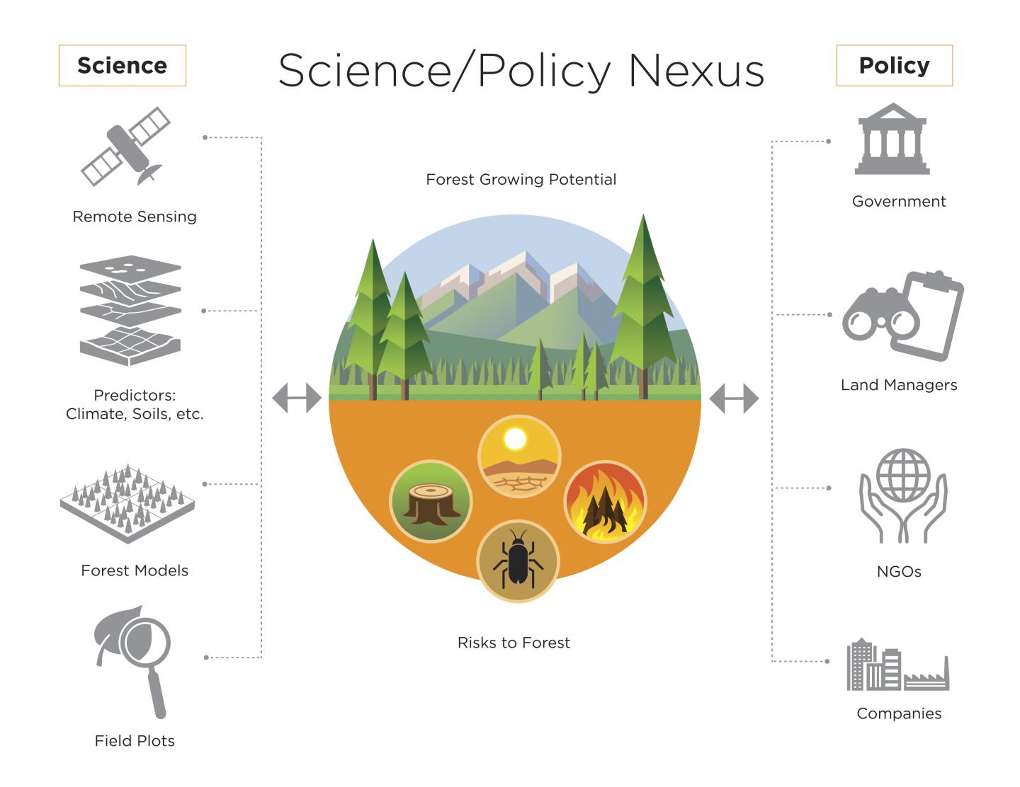 Science/Policy Nexus