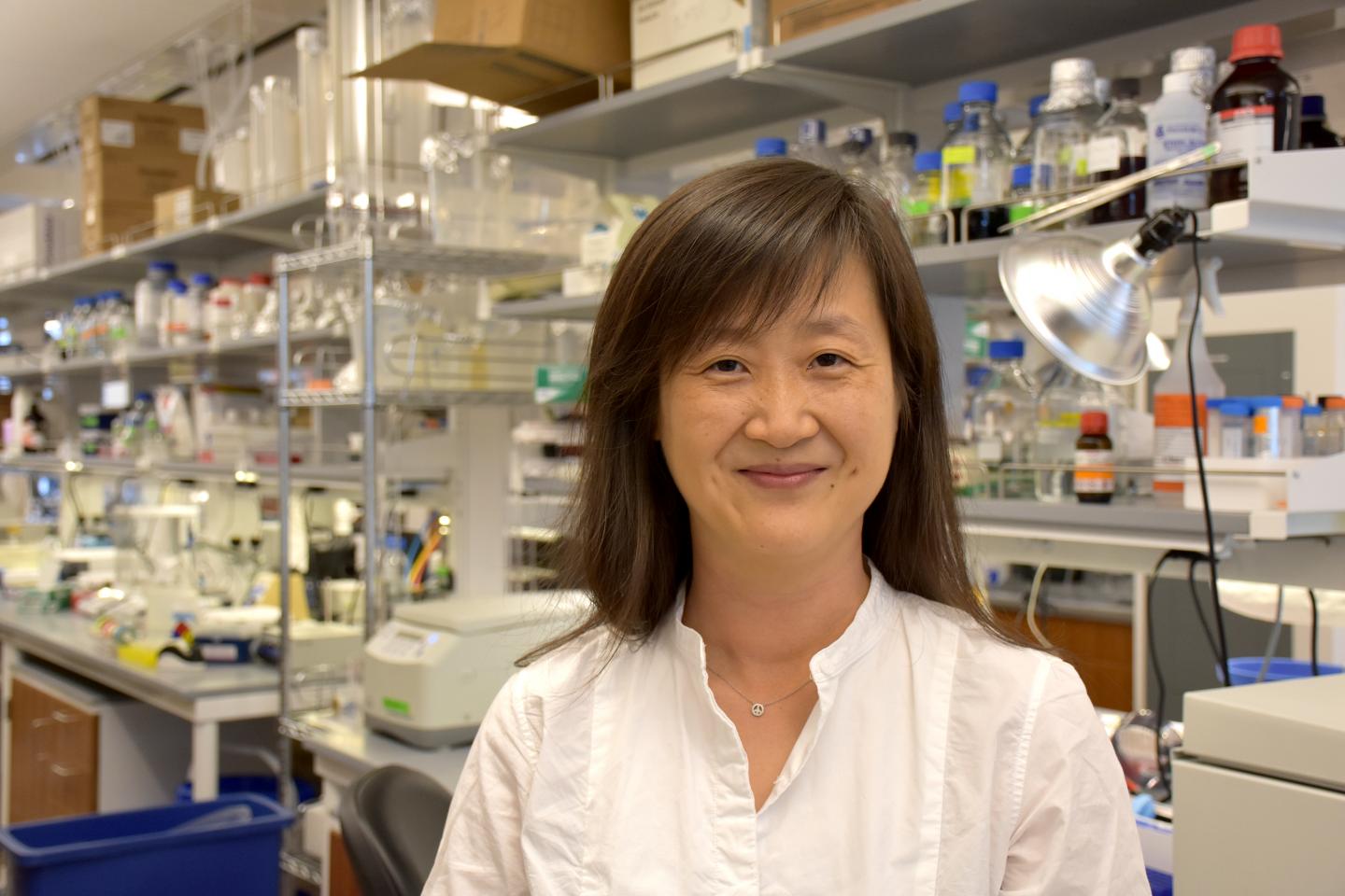 Dr. Qing Chen