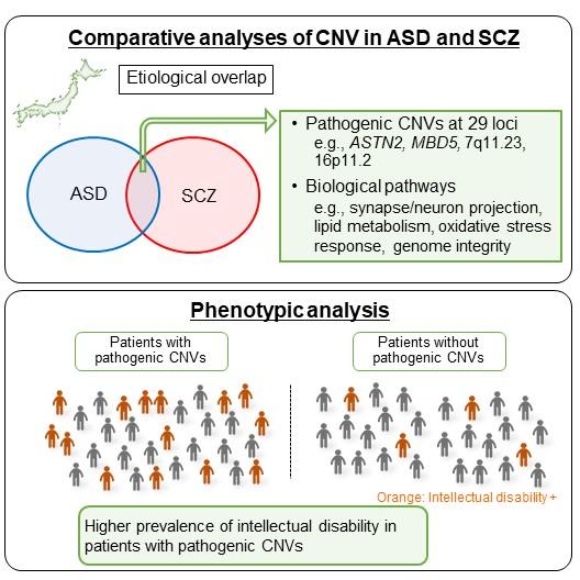 Comparative Analyses of CNV in ASD and SCZ