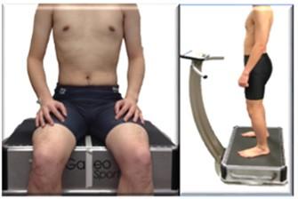 Pivotal Whole Body Vibration in either Seated or Standing Posture