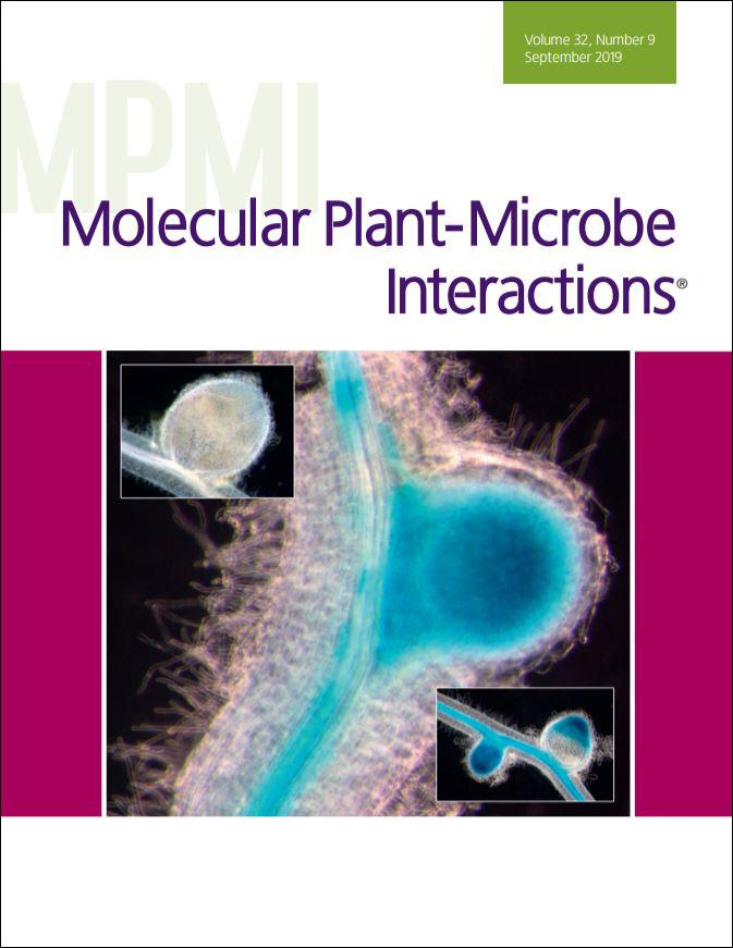 Cover of <i>Molecular Plant-Microbe Interactions</i>