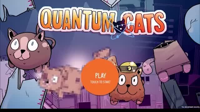 Quantum Cats Game