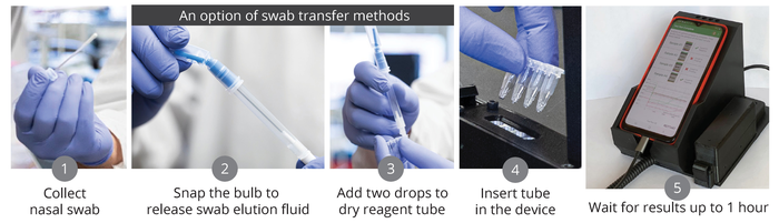 Workflow of Harmony COVID-19 test kit