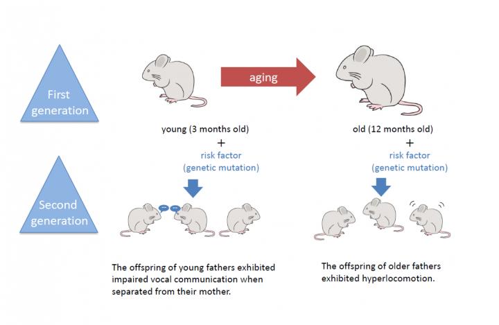 Paternal Aging and Its Possible Link to Neurodevelopmental Disorders