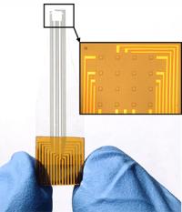 Microelectrode Array