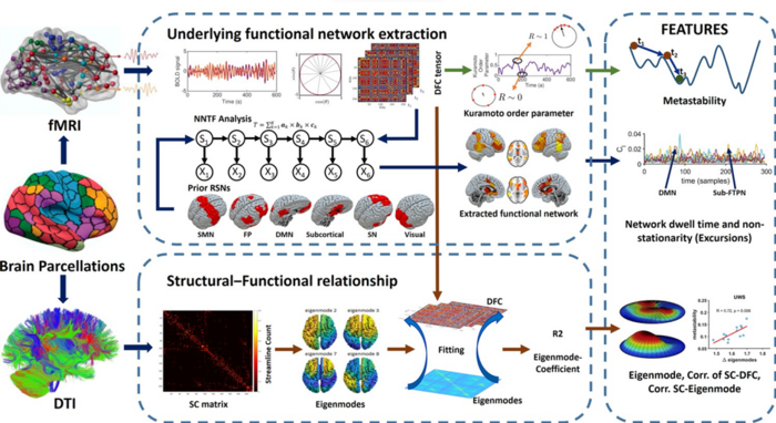 evidence of altered brain dynamics in patients with unresponsive arousal syndrome and in those in a minimally conscious state