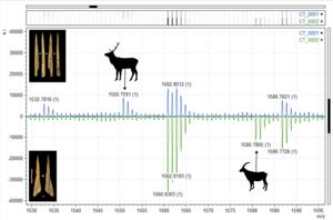 Early Pyrenean Neolithic groups applied species selection strategies to produce bone artefacts