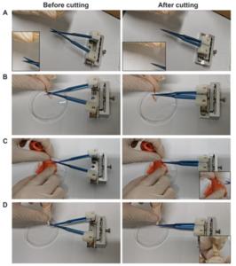 Figure 5. Photos of the pair of microsurgical scissors cutting copper wires (A), pork (B), beef slices (C), and intestines (D).