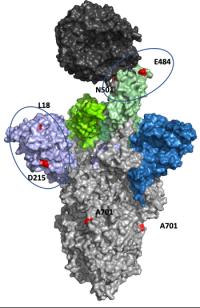 Mutations identified in the new SA variant