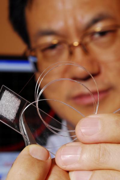 Zhong Lin Wang with 3-D Solar Cell