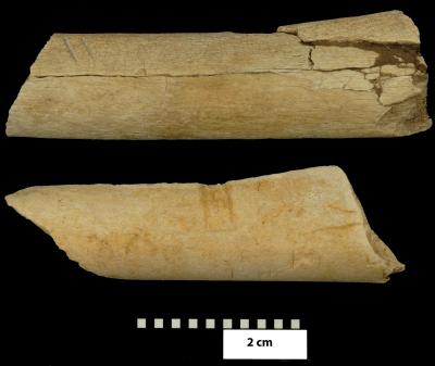 Two Cut-marked Bones from Dikika, Ethiopia
