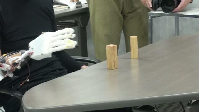 The Prosthetic Hand Test