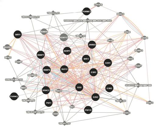 ESC/E(Z) Gene Network