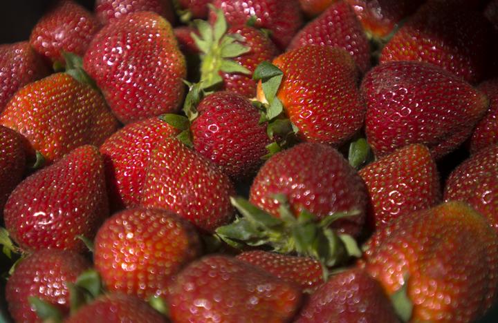 Batch of Strawberries
