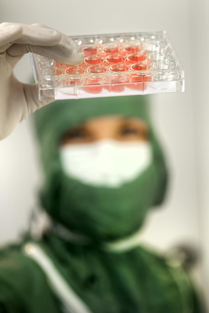 Cell Culture in a Clean Room L [IMAGE] EurekAlert! Science News Releases
