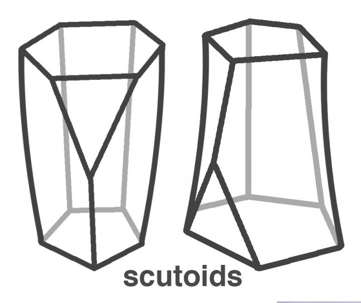 Scutoids (2 of 2)