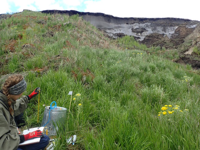 Researcher measuring nitrous oxide emissions on Kurungnakh Island