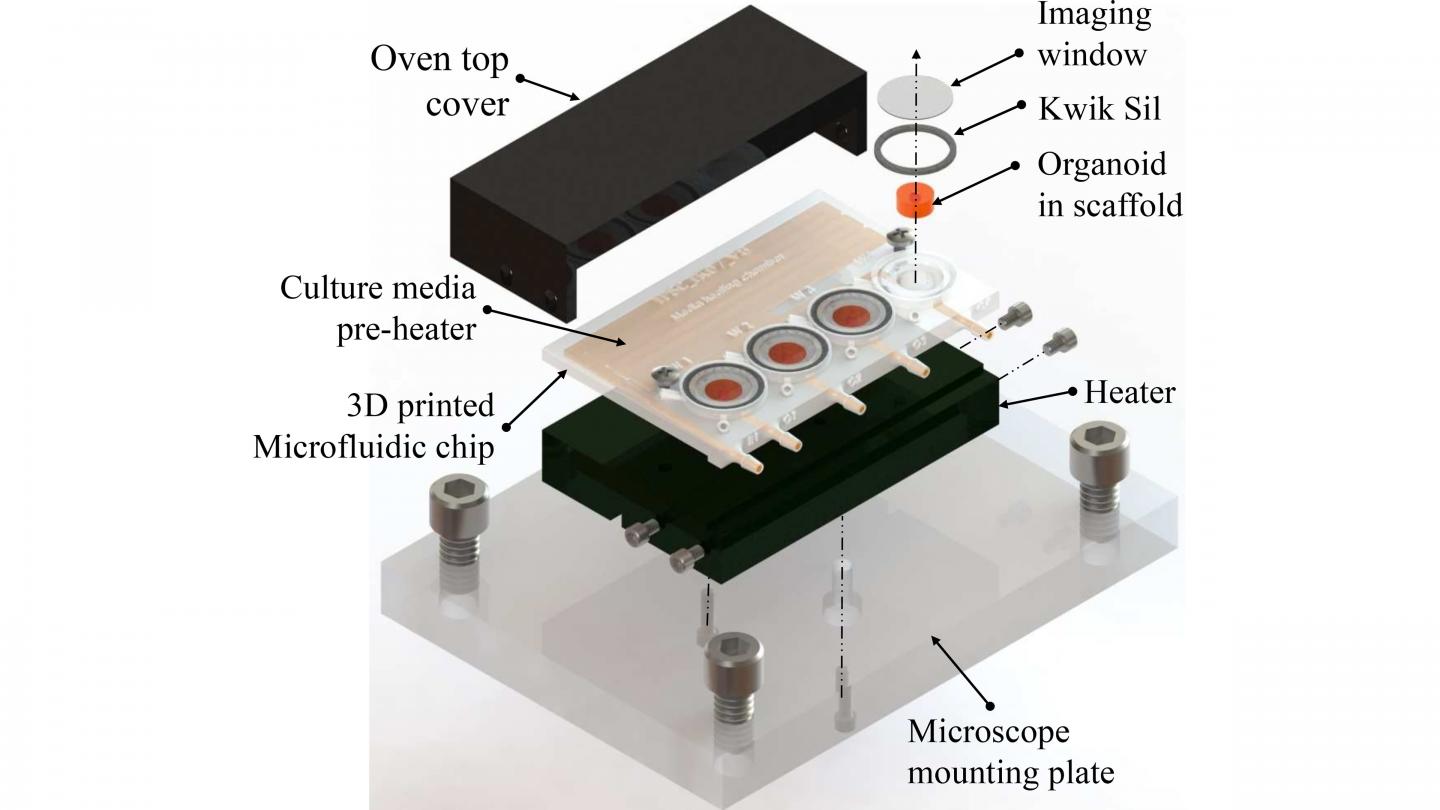 3D-printed microfluidic bioreactor for organ-on-chip cell culture