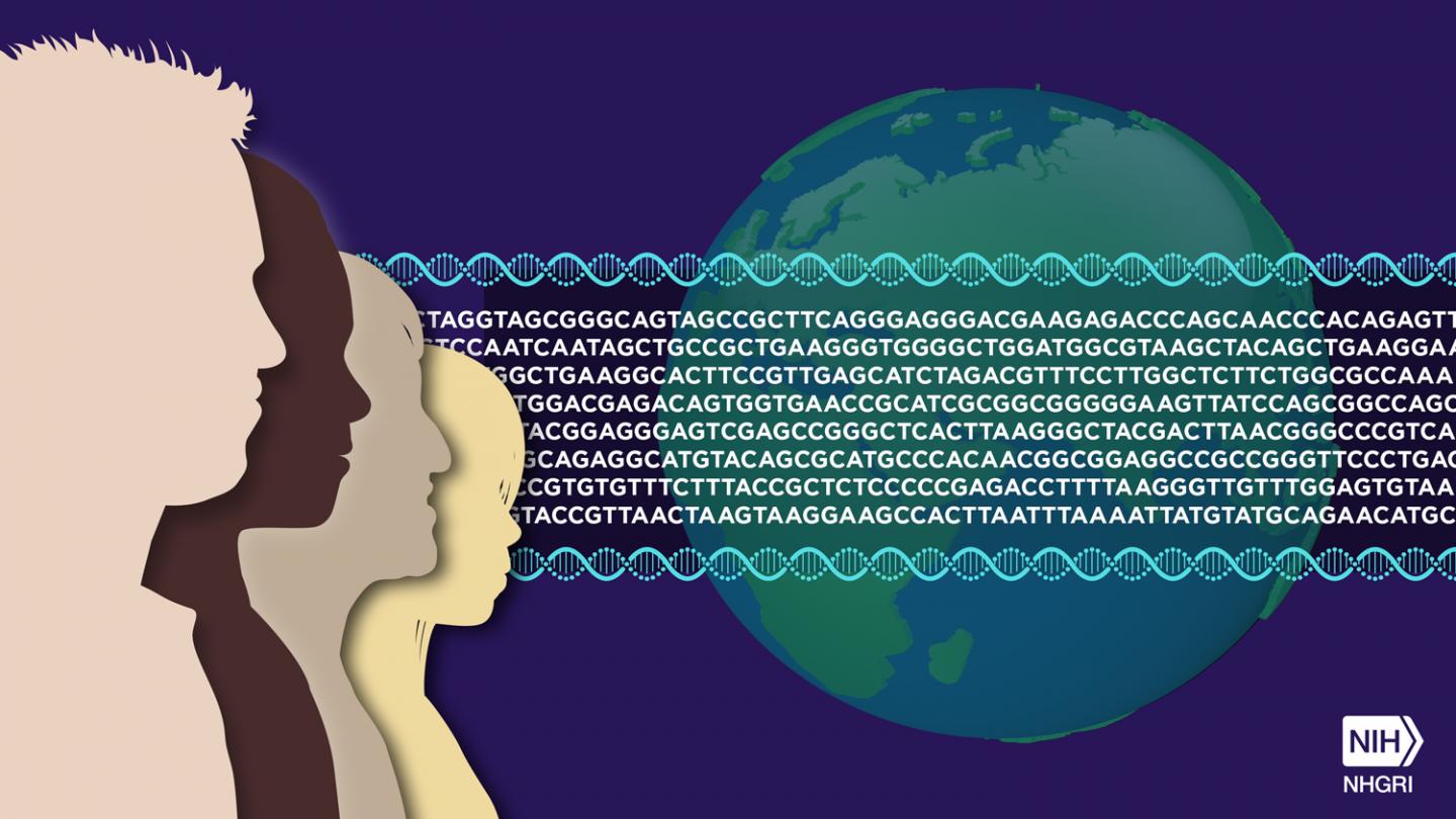 Human Genome Reference Sequence Image