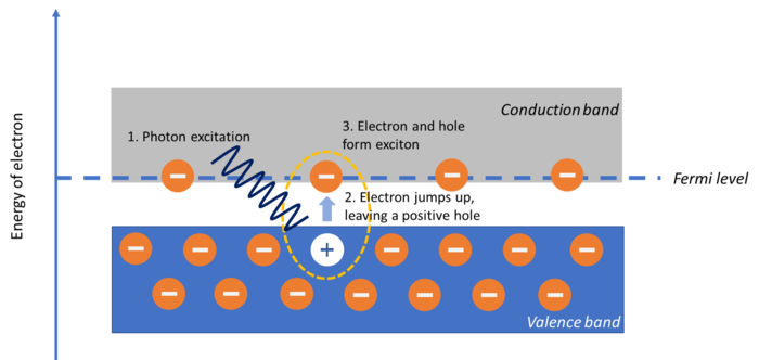 Exciton formation