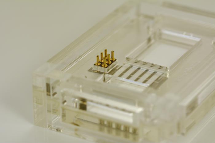 lungPaper component incorporated in a methacrylate cartridge.